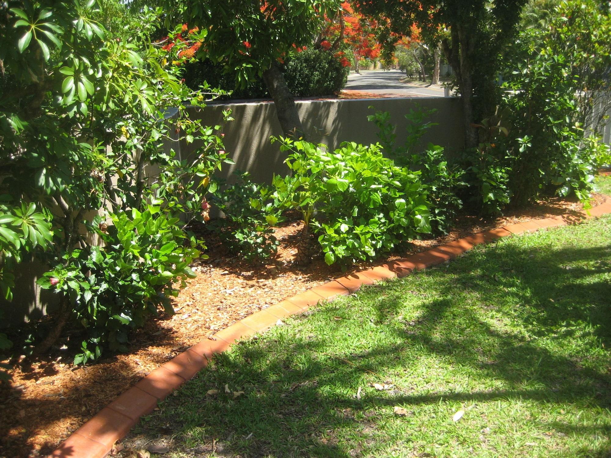 Nautilus Noosa Resort Noosaville Buitenkant foto